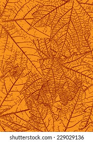 Autumn Dry Maple Leaves Backdrop - Illustration