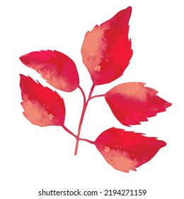 autumn dry red leaf on a tree branch