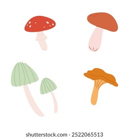 Cogumelos comestíveis e não comestíveis de outono Vidoeiro boleto, mosca agárica e chanterelle. Comida fresca da floresta outono. Fungos sazonais. Ilustração vetorial plana colorida isolada sobre fundo branco