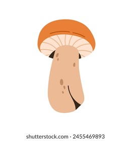 Autumn edible mushroom, fungus icon. Leccinum, natural fall season food. Fresh fungi with gilled cap, stalks, stipe. Flat graphic vector illustration isolated on white background