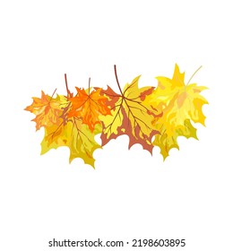 Autumn Element for creating great fall design. Vector illustration.