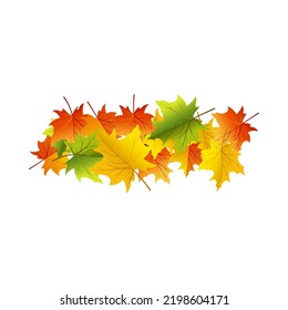 Elemento de otoño para crear un gran diseño de caída. Ilustración vectorial.