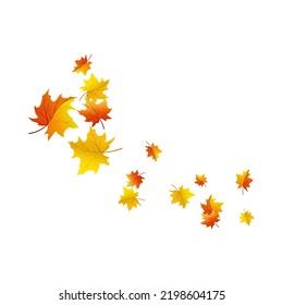 Autumn Element for creating great fall design. Vector illustration.