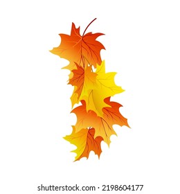 Autumn Element for creating great fall design. Vector illustration.