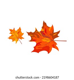 Herbstelement für großartiges Herbstdesign. Vektorgrafik.