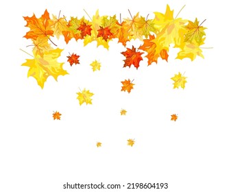 Autumn Element for creating great fall design. Vector illustration.