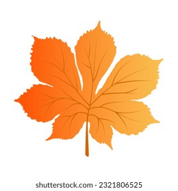 Autumn  Element for design isolated on white background.