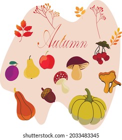 Autumn Element Doodle Vector Design.Autumn set. Vegetables and fruits, mushrooms and tree leaves.