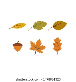 Autumn element seamless background wallpeper vector illustration
