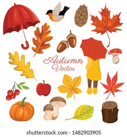 Colección de Elementos de otoño con corona decorativa. Ilustración vectorial