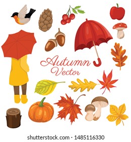 Autumn elements collection with decorative wreath. vector illustration