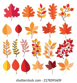 Autumn elements collection. Set of colorful autumn leaves and branches