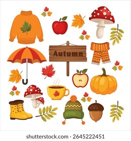 Autumn Elements Collection. Warm Seasonal Aesthetic
