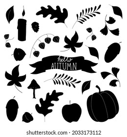 Autumn elements contour in black color isolated. Vector stock illustration