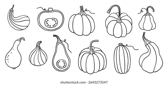 Autumn elements doodle illustration, autumn cozy set, hand draw line design