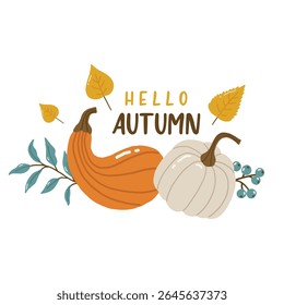 Autumn elements doodle illustration, pumpkins collection, autumn cozy set