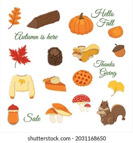 Autumn Elements, Fall Season vector illustration