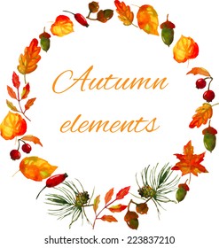 Autumn elements frame with leaves, berries, pine cones and acorns