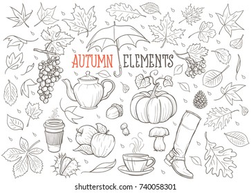 Autumn Elements Hand Drawn Illustration (vector)