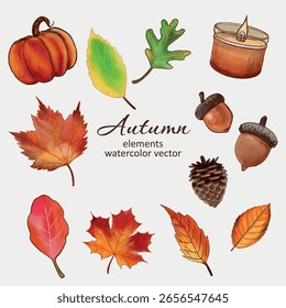 Vector de acuarela dibujado a mano de Elementos de otoño 