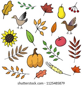 Autumn elements illustrations set
