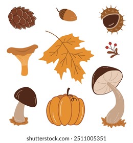 Autumn Elements Isolated on White. Set. Autumn Leaf, Mushrooms, Pumpkin, Acorn, Cone, Chestnut, Yellow Maple Leaf, Berries, . Hello Autumn Vector Illustration