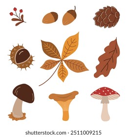 Autumn Elements Isolated on White. Set. Autumn Leaf, Mushrooms, Acorns, Berries, Cone, Chestnut, Fly Agaric, Chestnut Leaf, Oak Leaf. Hello Autumn Vector Illustration