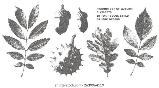 Autumn elements in photocopy style. Chestnut, acorns, and autumn leaves of oak, rowan, and rosehip. Modern grunge style with torn edges effect. Perfect for collages, posters, banners, social media