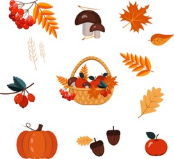 Autumn Elements - Pumpkin, Acorns, Leaves, Berries, Apples, Mushrooms, Basket. Set, Vector.