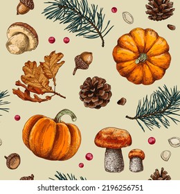 Autumn elements set: falling leaves, pine branches, pumpkins, mushrooms, cones and other. Vector seamless pattern.