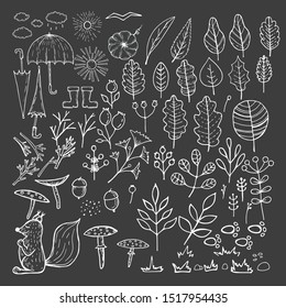 Autumn elements set, floral hand draw designs. Botanic vector stock illustration, EPS 10.