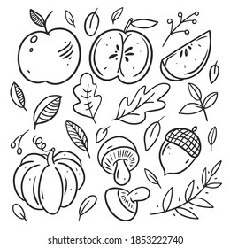 Autumn elements set. Leaves, pumpkin, apple. Black color line art. Hand drawn sketch. Doodle vector illustration.