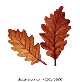 autumn elements set.Vector arrangements for greeting card or invitation design