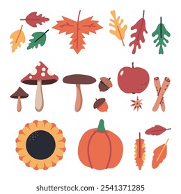 Autumn elements vector cartoon set isolated on a white background.