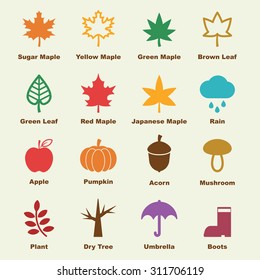autumn elements, vector infographic icons