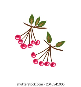 Autumn elements in warm colors with ashberry. Vector design for autumn card, poster, logo, print, etc. 