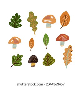 Autumn elements in warm colors with mushrooms, oak and other leaves. Vector design for autumn card, poster, logo, print, etc. 