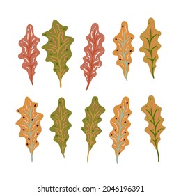 Autumn elements in warm colors with a set of oak leaves Vector design for autumn card, poster, logo, print, etc. 