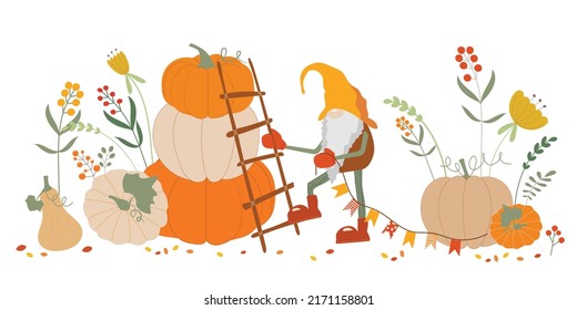 Autumn elfs wearing hats with pumpkins harvest vector illustration as symbol of autumn holidays. Cute fall paintings with veggies