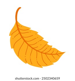 Autumn elm leaf. Hand drawn trendy flat style isolated. autumn leaf, golden season. Vector illustration