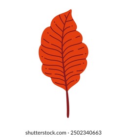 Autumn elm leaf. Hand drawn trendy flat style isolated. autumn leaf, golden season. Vector illustration