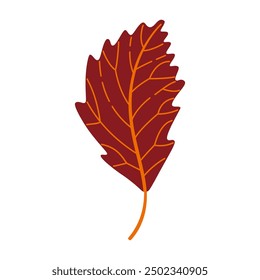 Herbstelmenblatt. Handgezeichnete trendige flache Stil einzeln. Herbstblatt, goldene Jahreszeit. Vektorgrafik