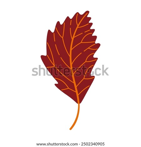 Autumn elm leaf. Hand drawn trendy flat style isolated. autumn leaf, golden season. Vector illustration