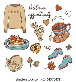 autumn essentials stylsh colorful collection. Autumn related design elements set