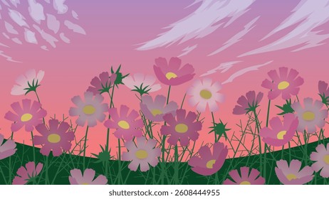 Autumn evening and cosmos in full bloom (16:9)