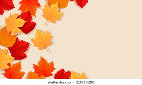 Autumn fall background with golden, red and orange maple leaves isolated on the background with space for text. Vector illustration