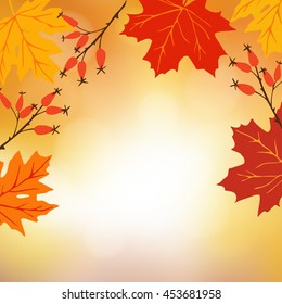 Autumn, fall background. Greeting card with hand drawn maple leaves and rose hips. Modern blurred vector illustration with bokeh lights. 