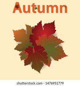 Autumn Fall Background With Leafs With Shadow and Autumn Text Decorated With Leafs and Acorns
