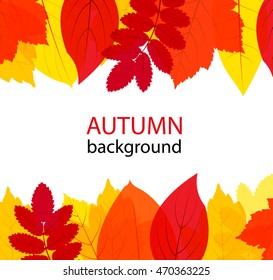 Autumn or Fall background with transparent yellow and red colorful leaves set, vector illustration