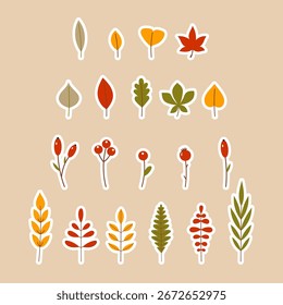 Autumn Fall Botanical Elements Collection. Leaves, Berries and Branches with white sticker outline. Seasonal plants illustrations set.